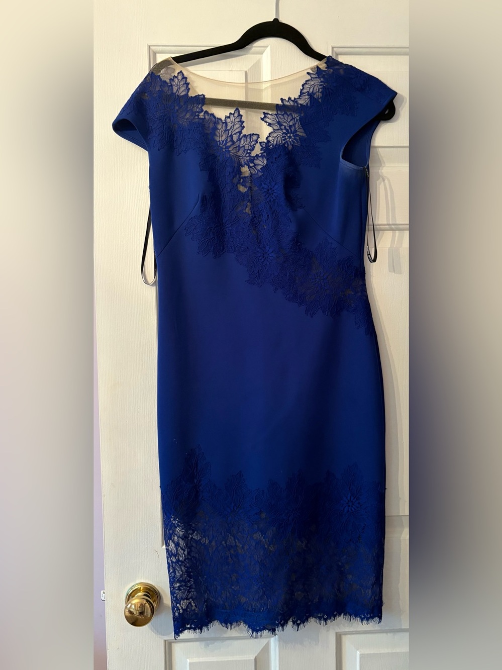 Tadashi Shoji Royal Blue Lace-Trim Midi Sheath Dress